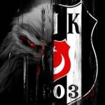 Elif Betül TUNÇ profile picture