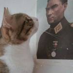 Nisa Nur Sufracı Profile Picture